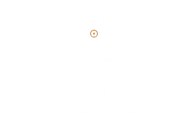 Merrigum Green Estate